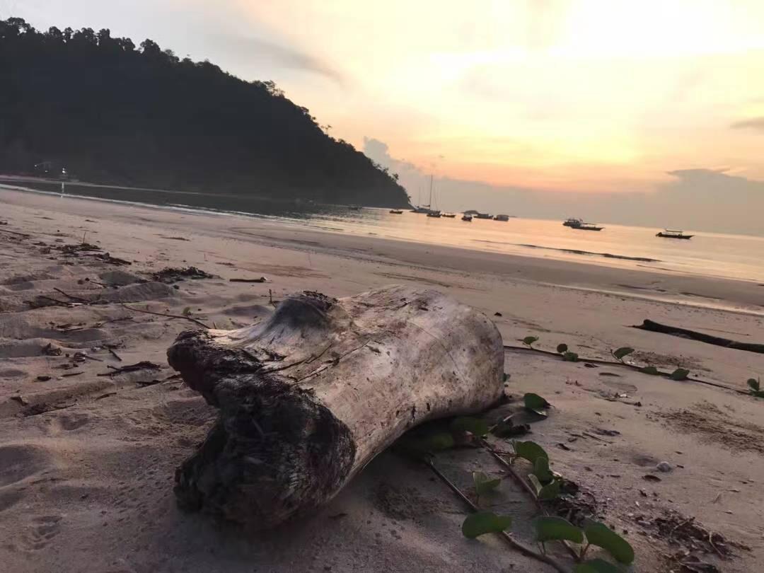 Juara Bay Resort Ilha Tioman Exterior foto
