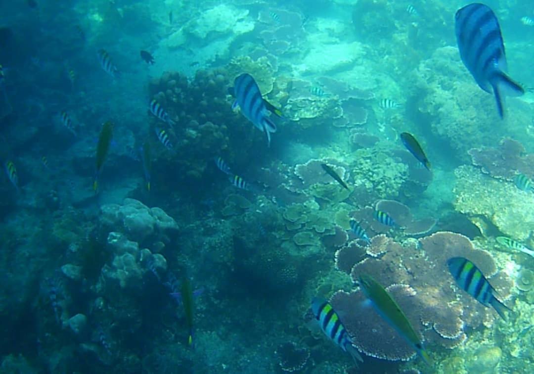 Juara Bay Resort Ilha Tioman Exterior foto
